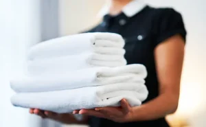 Bleach Disinfectants